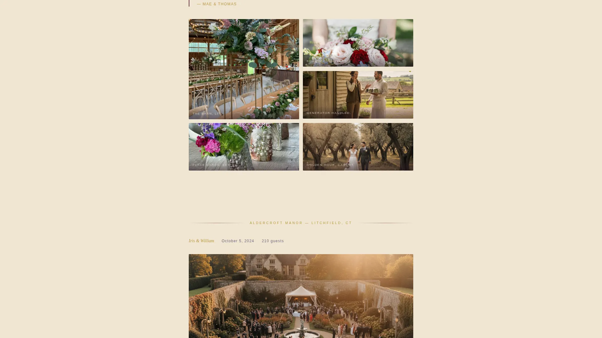 Wedding Venue Reviews Website Template