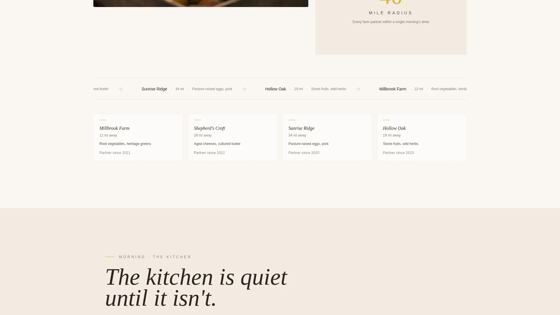 Minimalist Wedding Specialist Professional Website Template