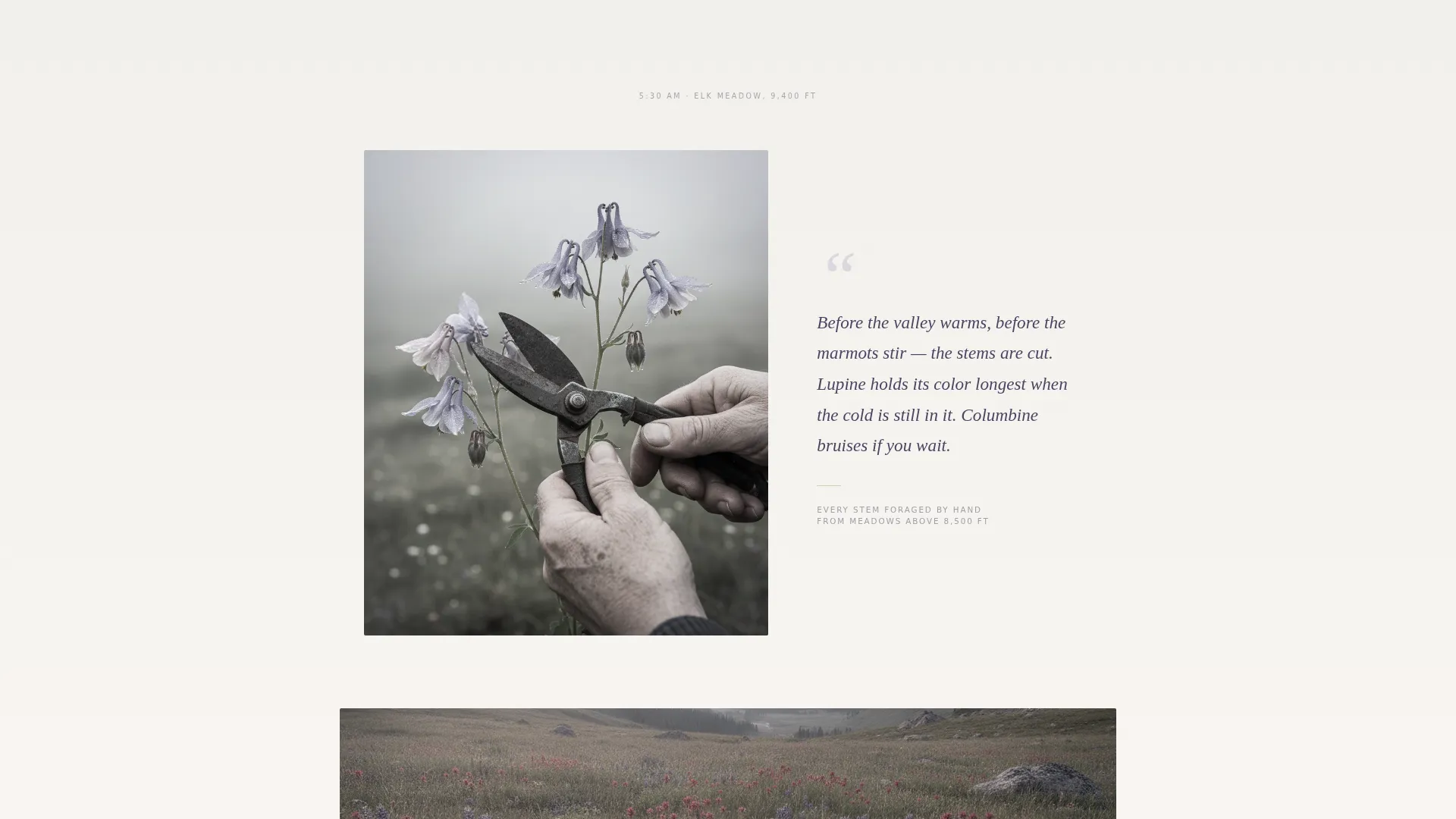 Captivating Flower Design Landing Page Template
