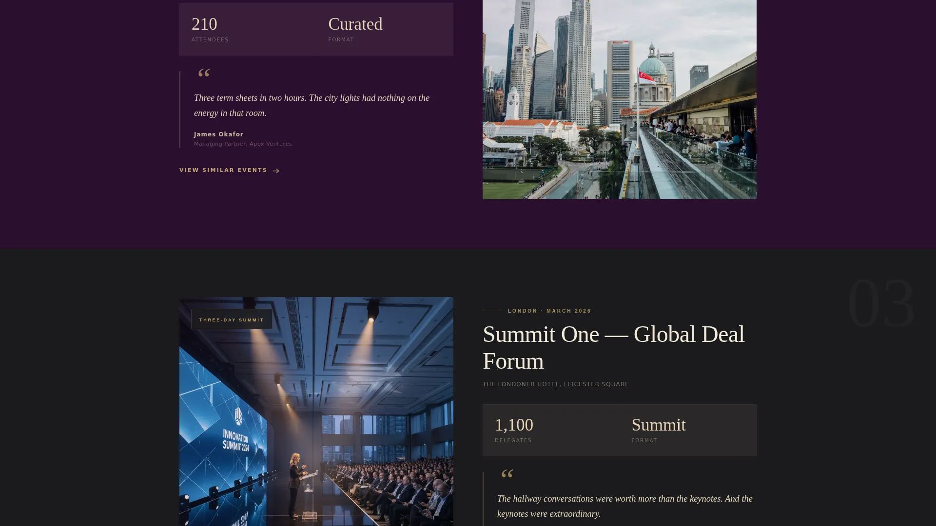 Networking Event Professional Website Template