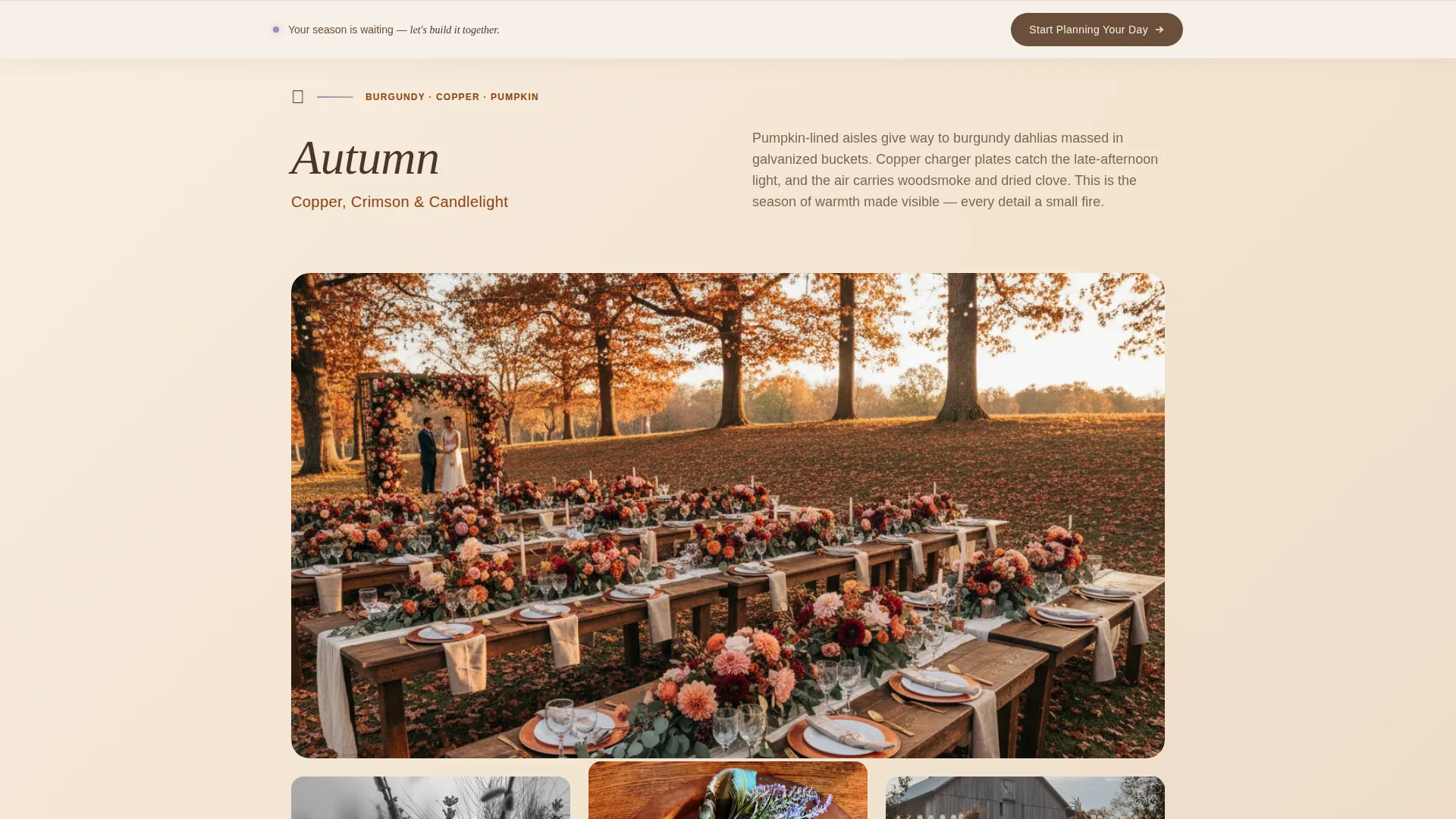 Rustic Wedding Decorator Landing Page Template