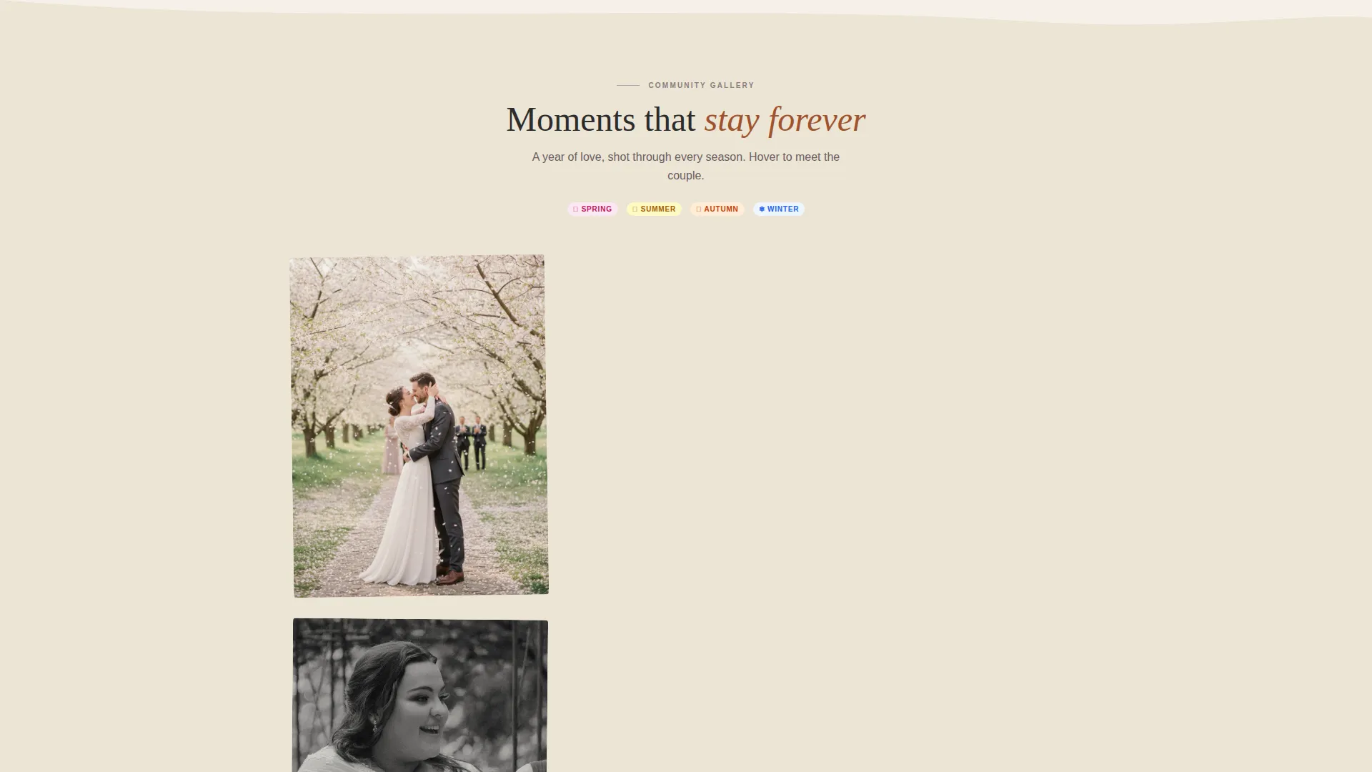 Rustic Wedding Professional Website Template