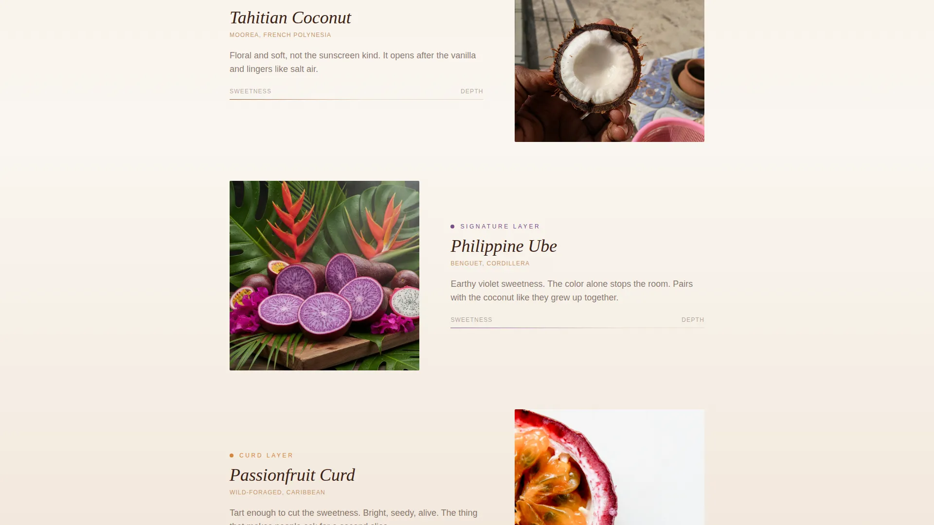 Tropical Wedding Cake Baker Landing Page Template
