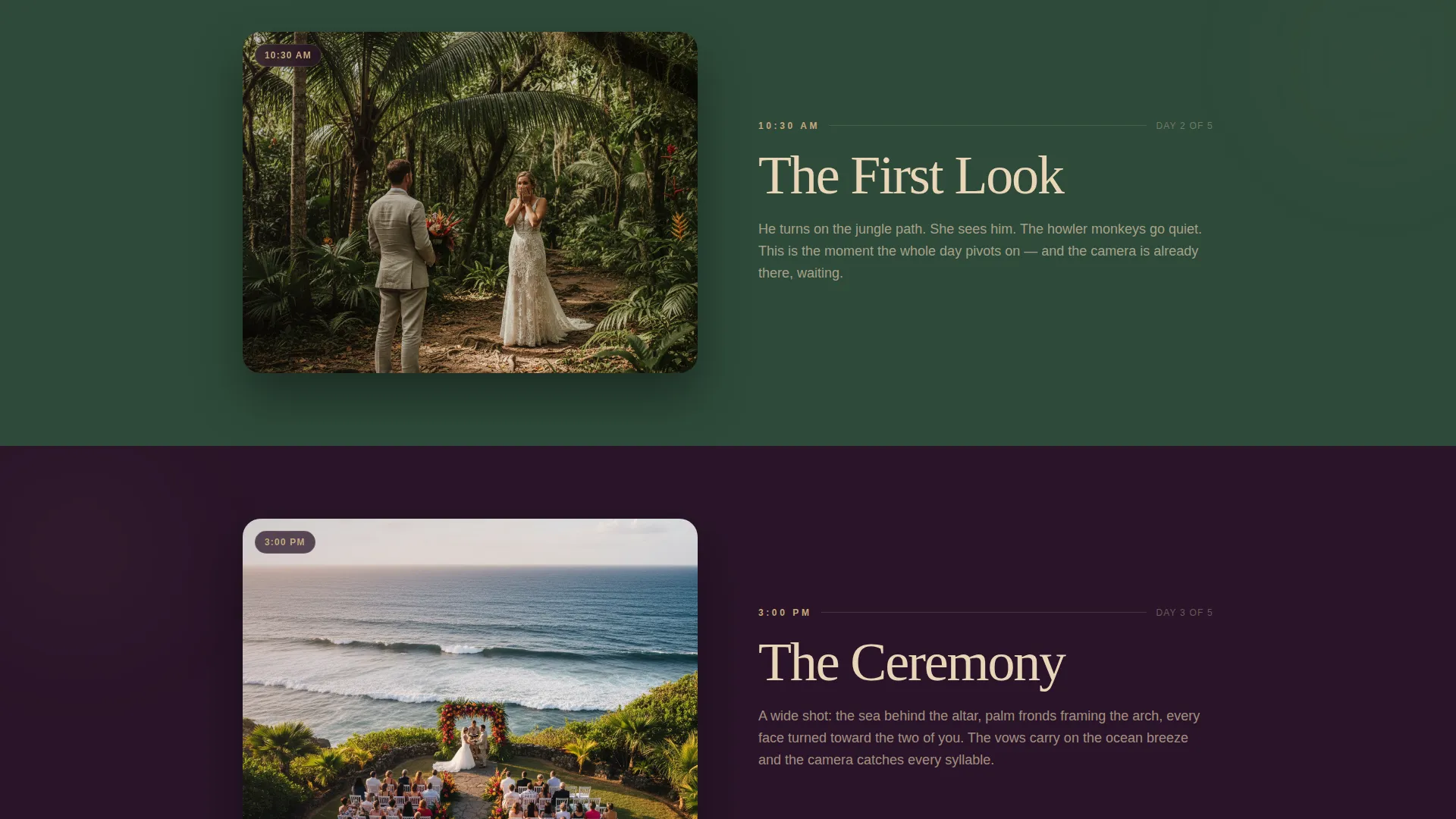 Cinematic Destination Wedding Videographer Landing Page