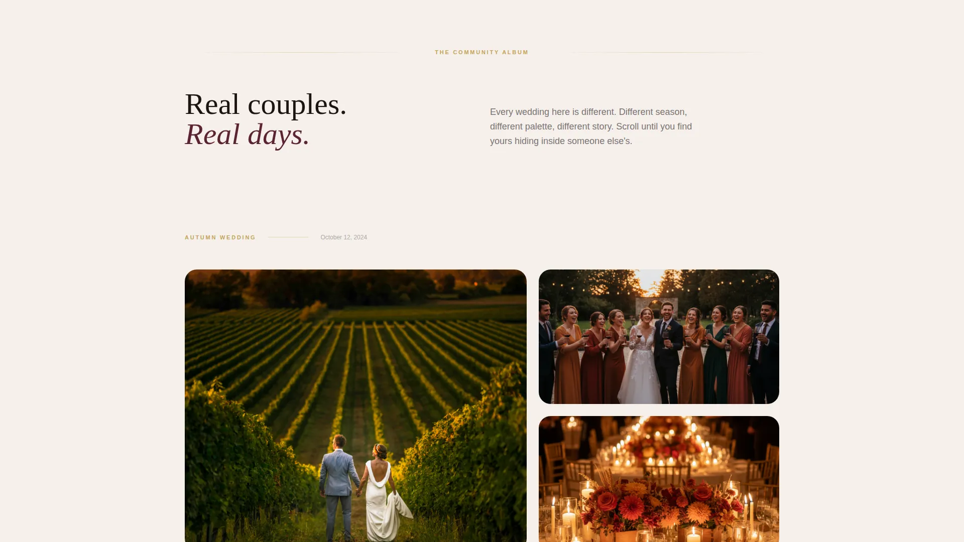 Vineyard Wedding Venue Landing Page Template