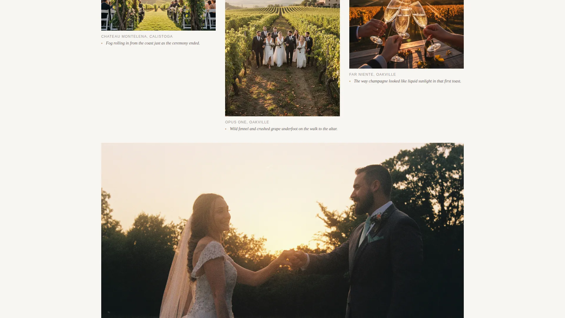 Vineyard Wedding Videographer Landing Page Template
