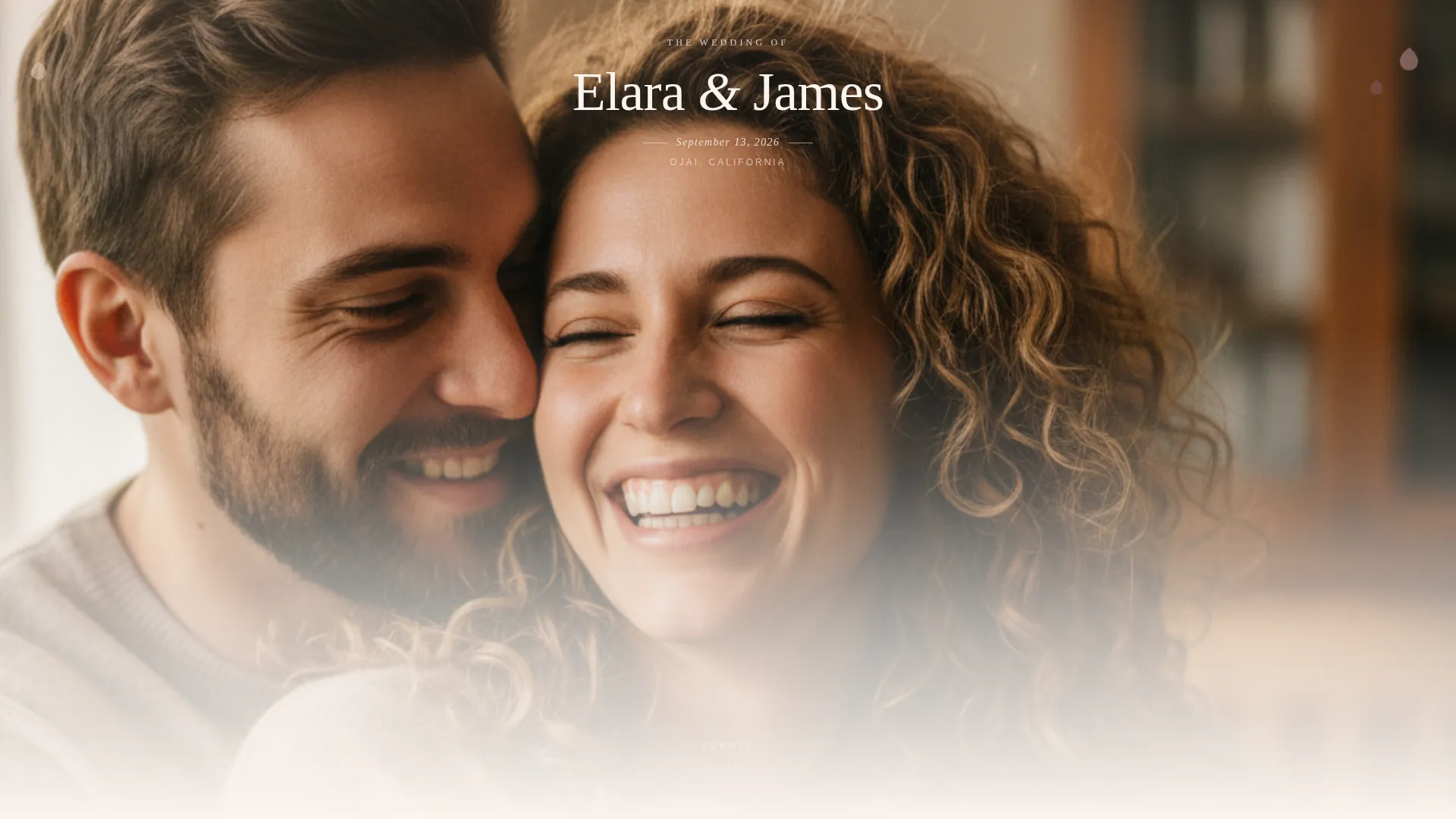 Wedding Coordination Landing Page Template