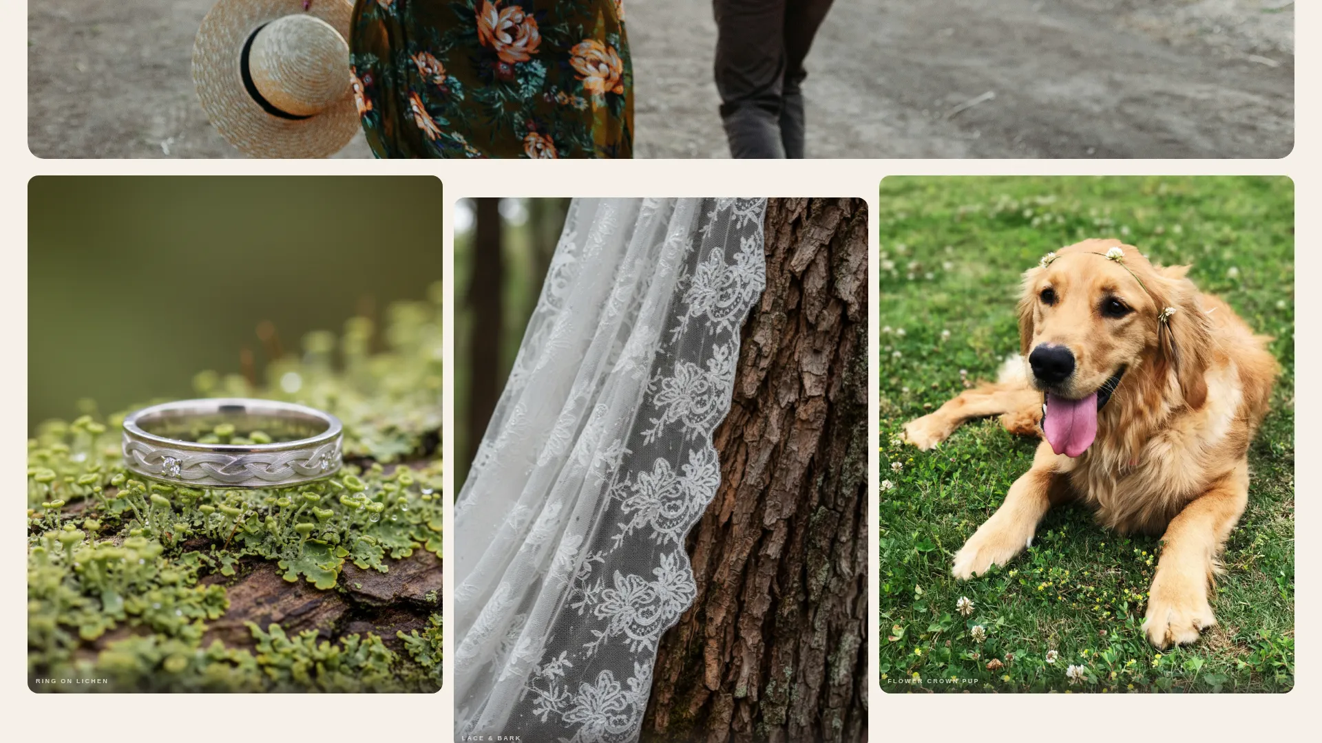 Forest Conservation Landing Page Template