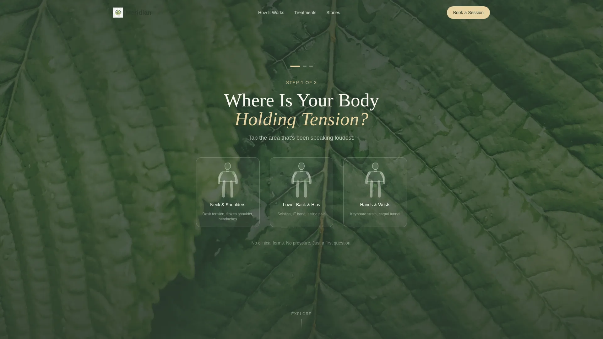 Acupressure Clinic Landing Page Template