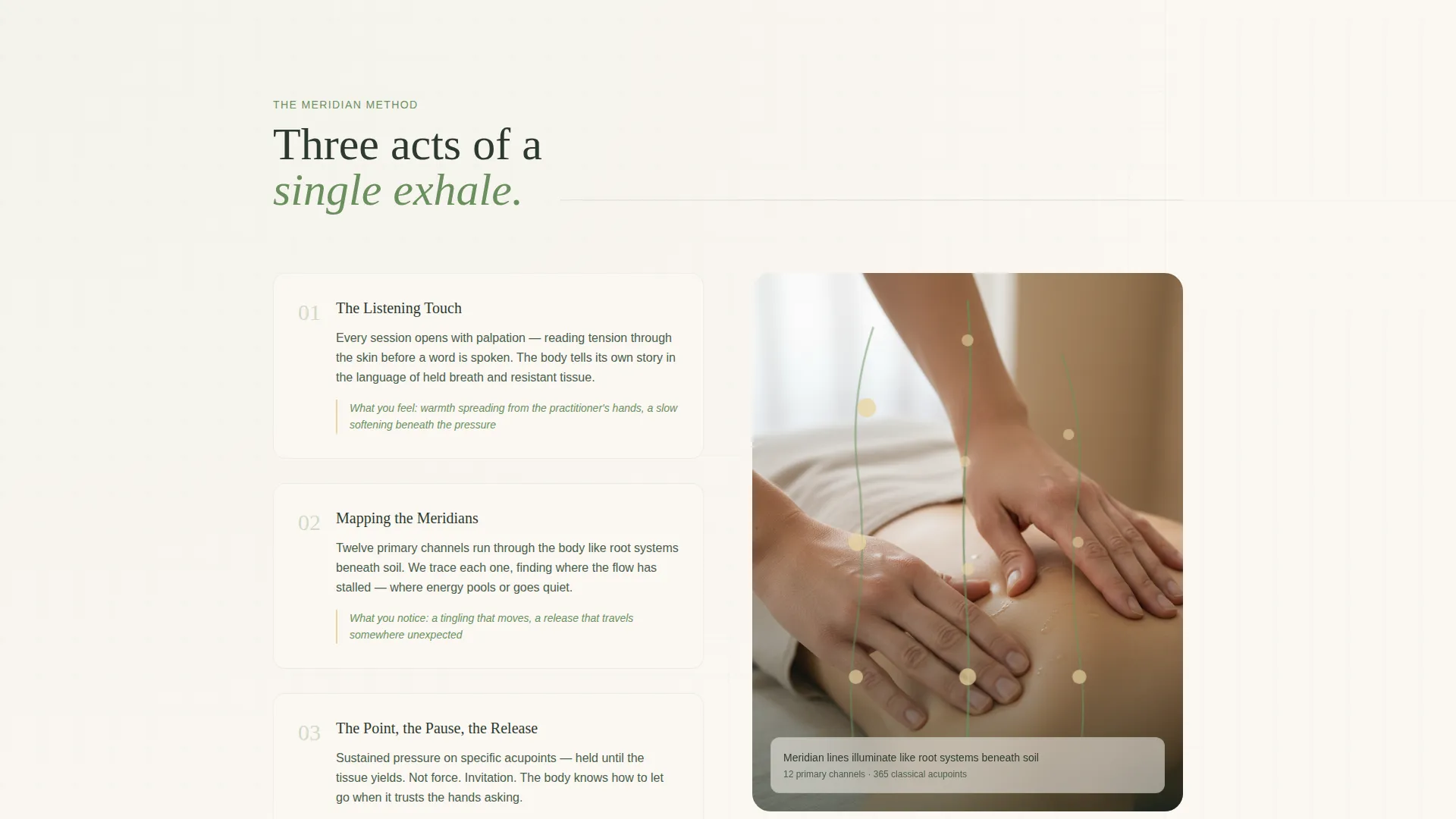 Acupressure Clinic Landing Page Template