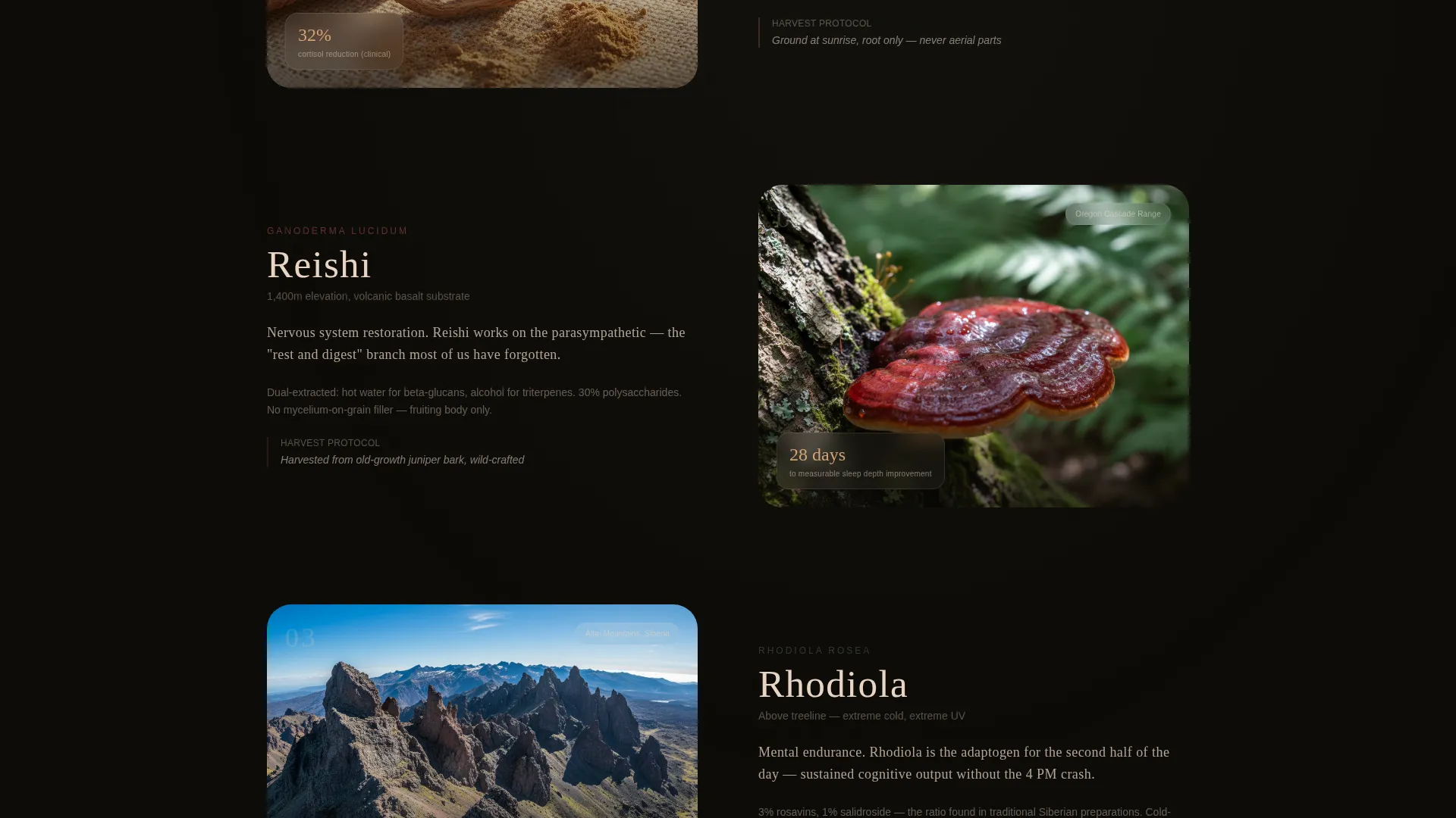 Adaptogen Brand Landing Page Template
