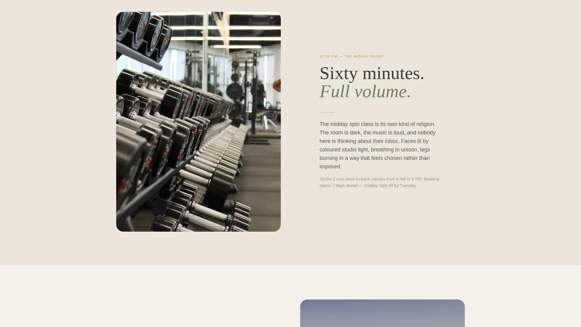 Large Gym & Fitness Chain Website Template with Zen Design