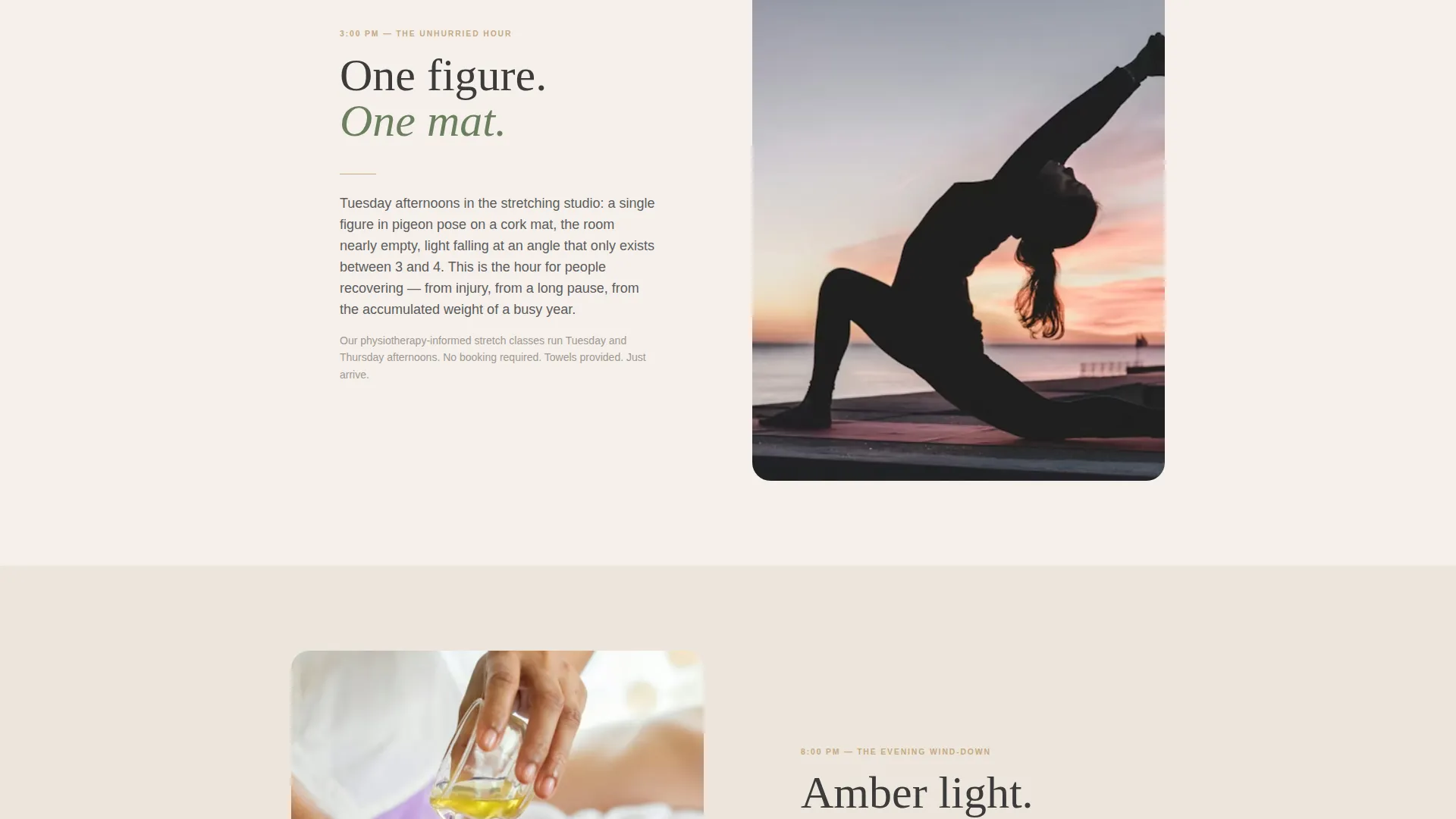 Large Gym & Fitness Chain Website Template with Zen Design