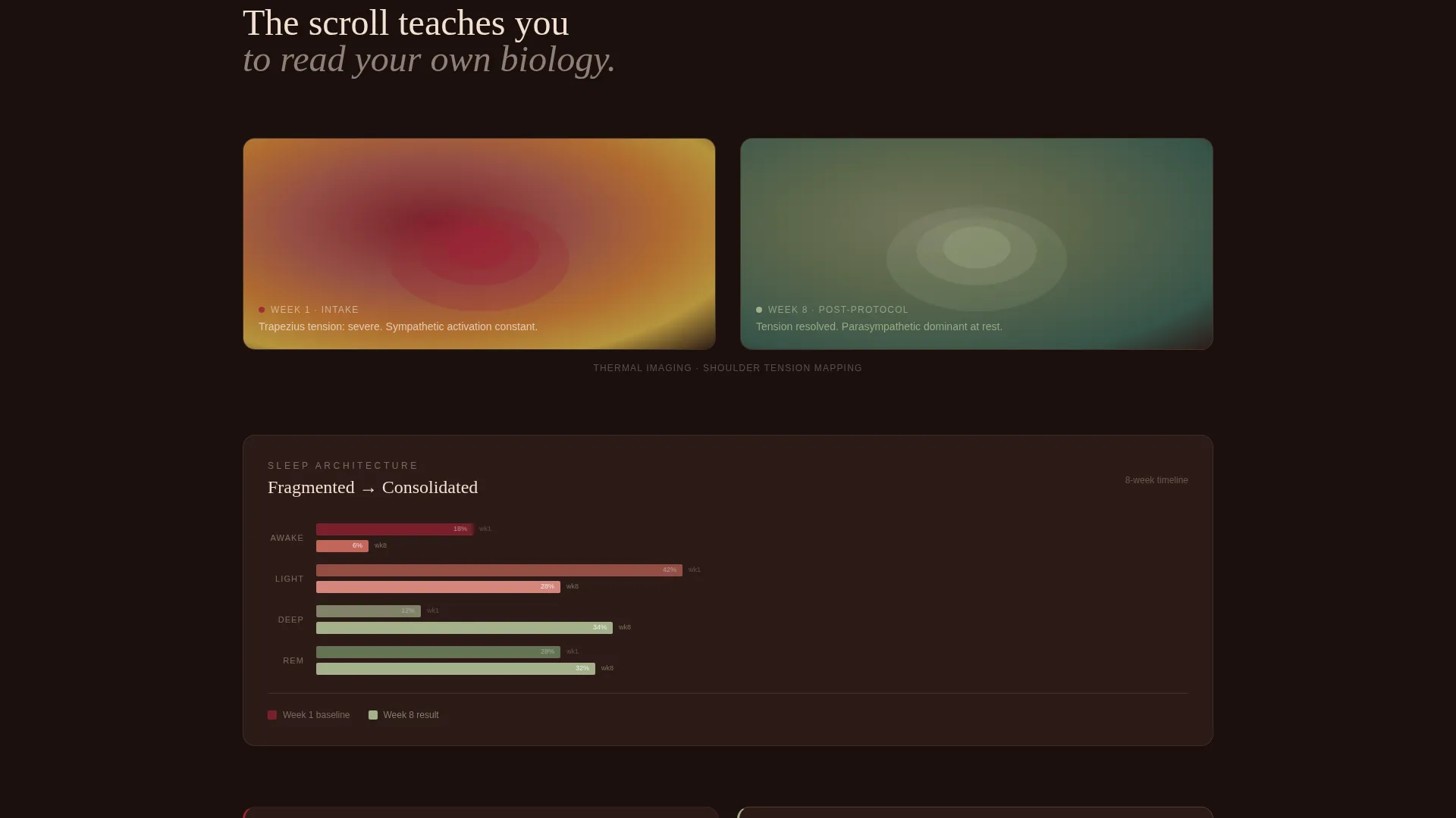 Biofeedback Studio Landing Page Template