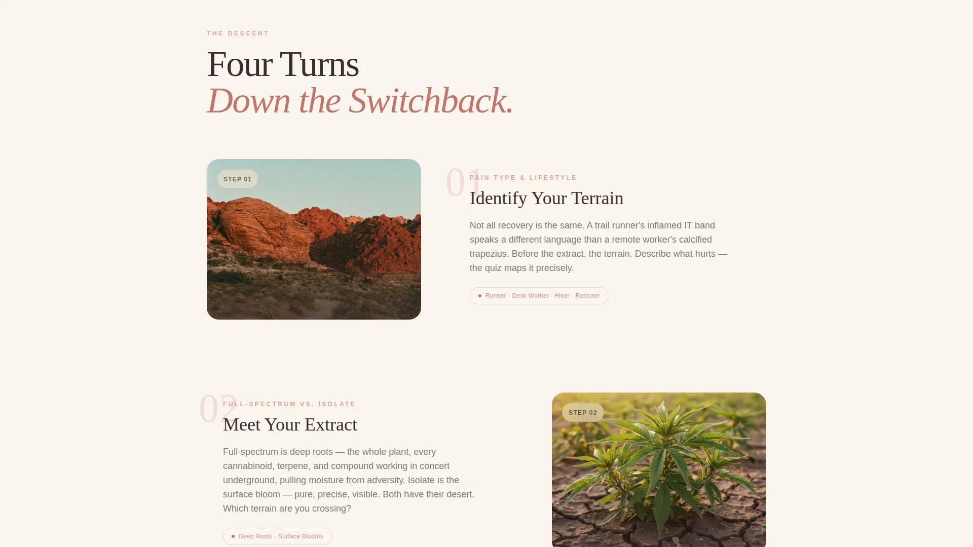 Hemp Wellness Landing Page Template | Tincture