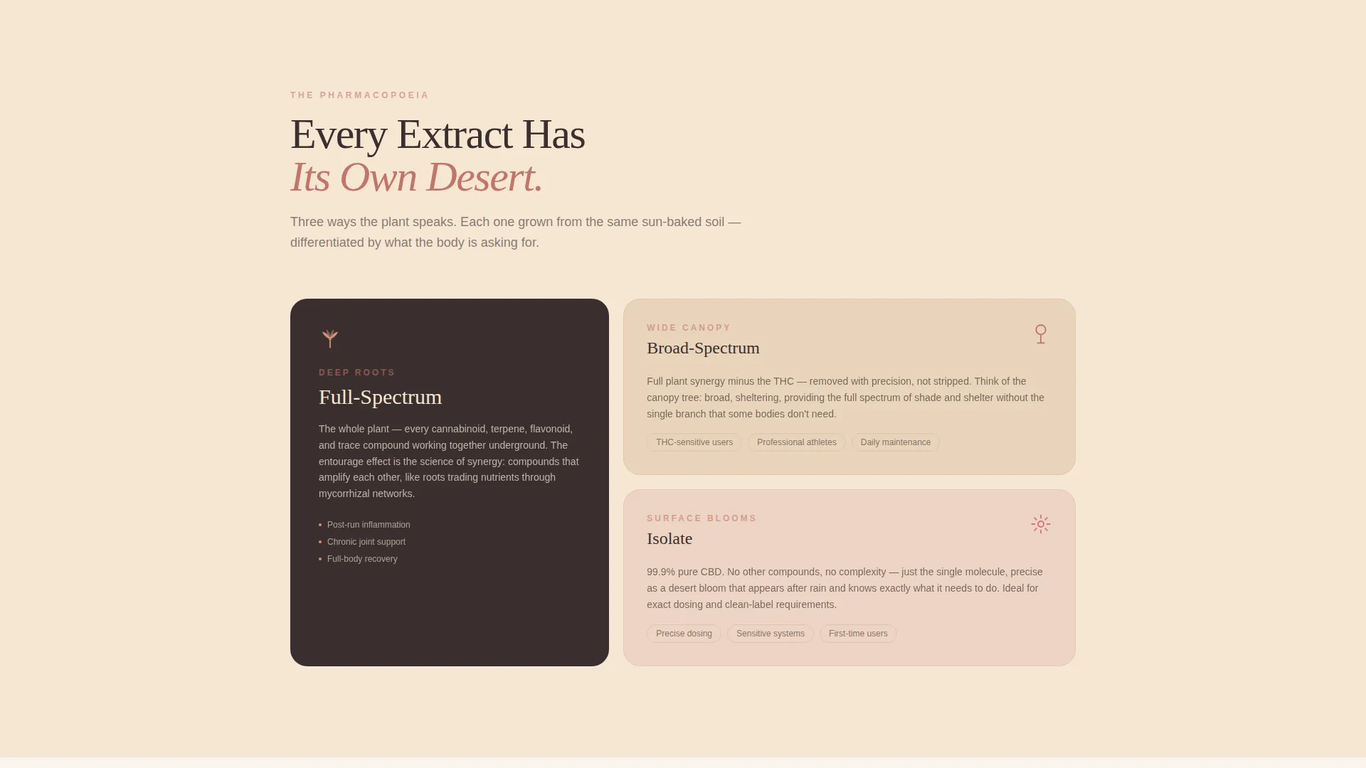 Hemp Wellness Landing Page Template | Tincture