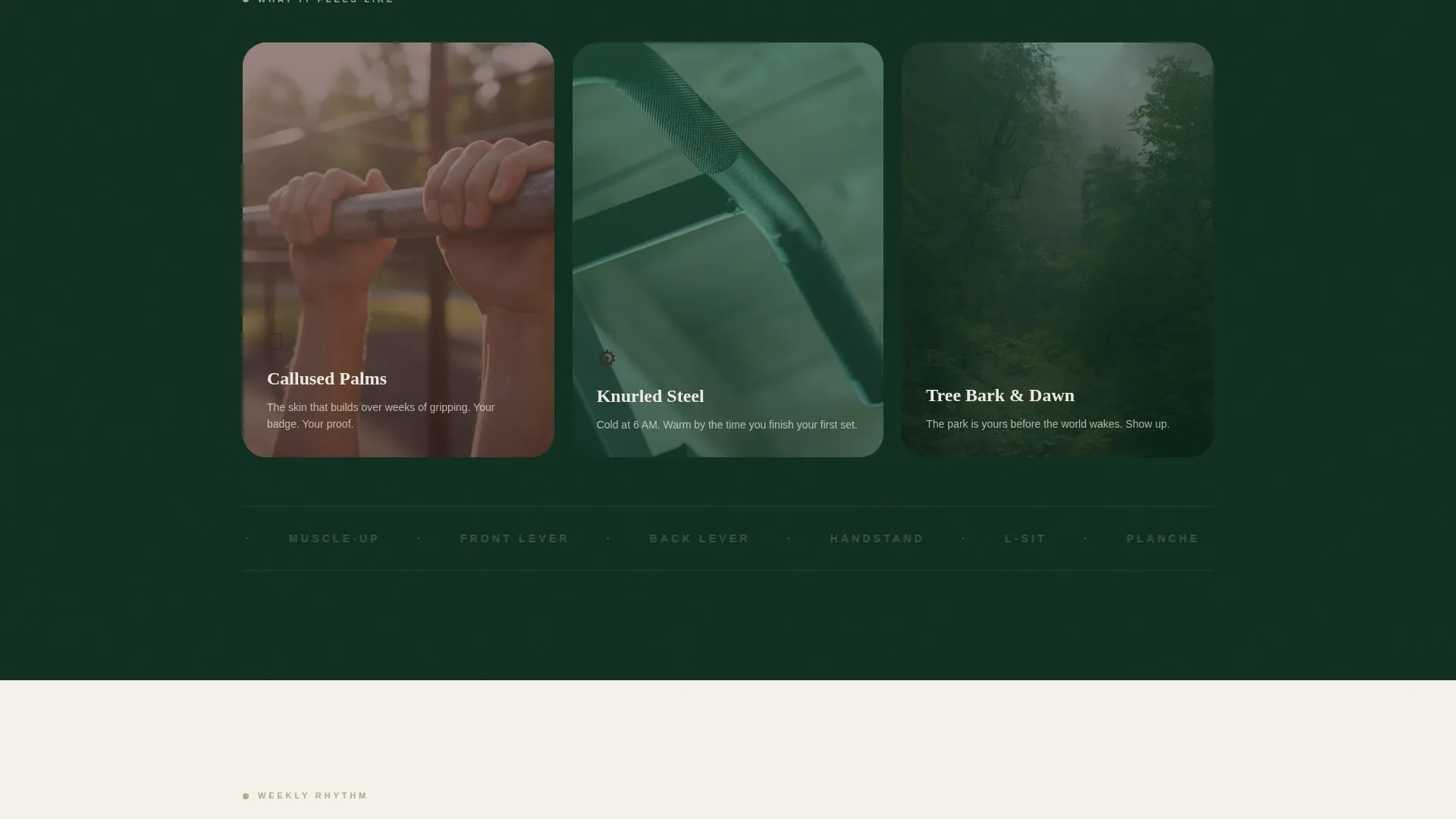 Calisthenics Community Landing Page Template