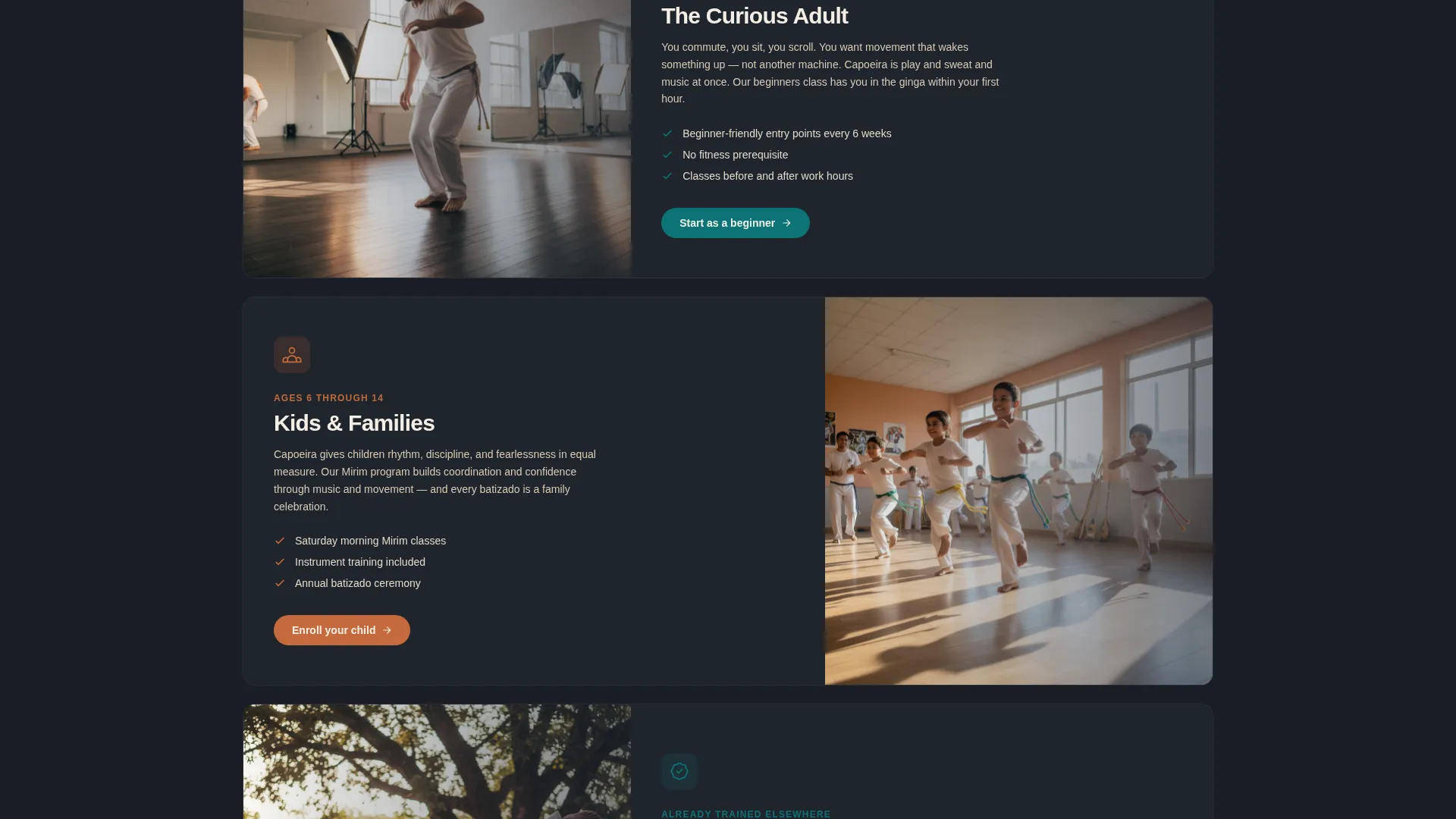 Capoeira Studio Landing Page Template