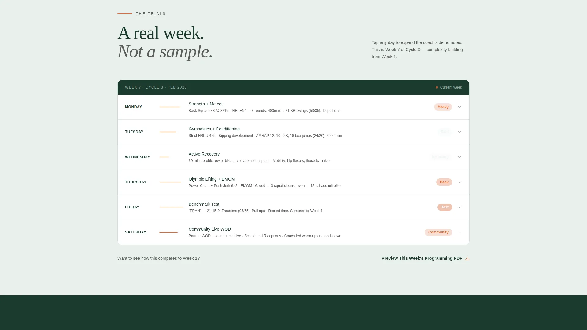 CrossFit Online Training Program Landing Page Template
