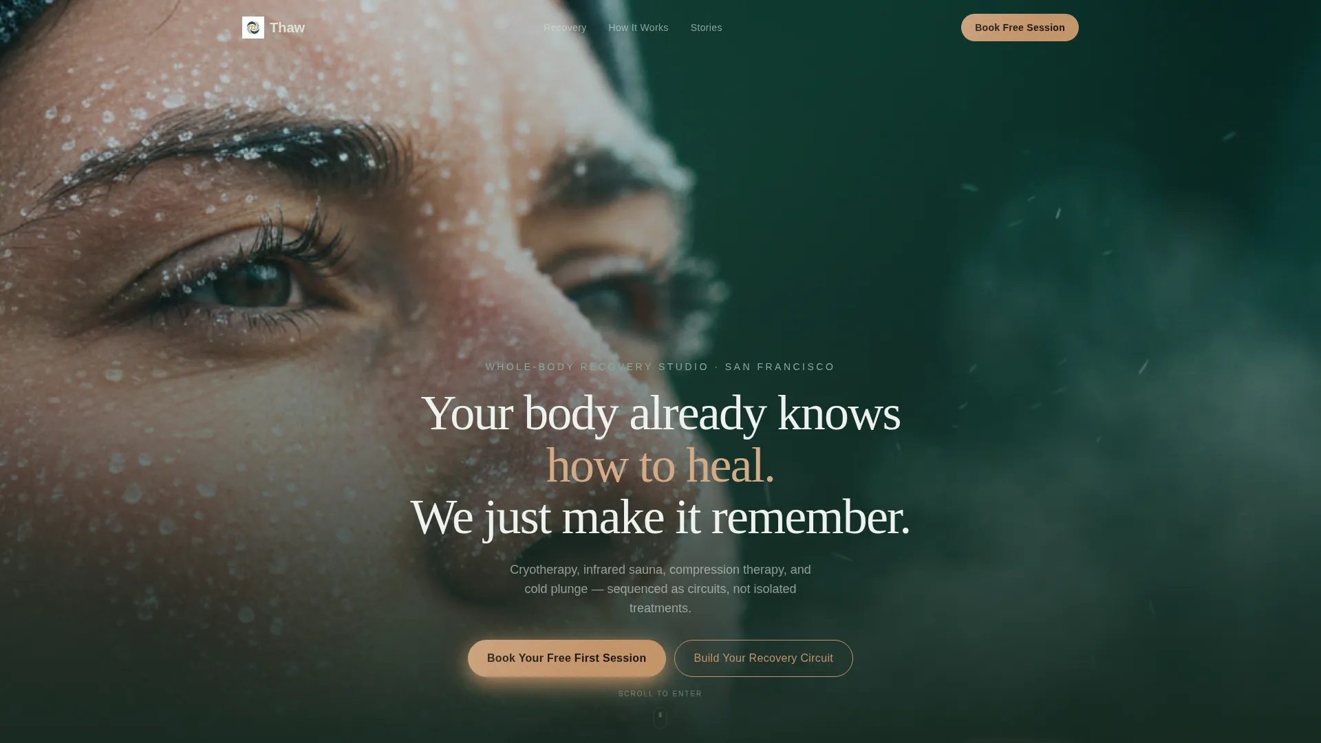Cryotherapy & Recovery Studio Landing Page Template