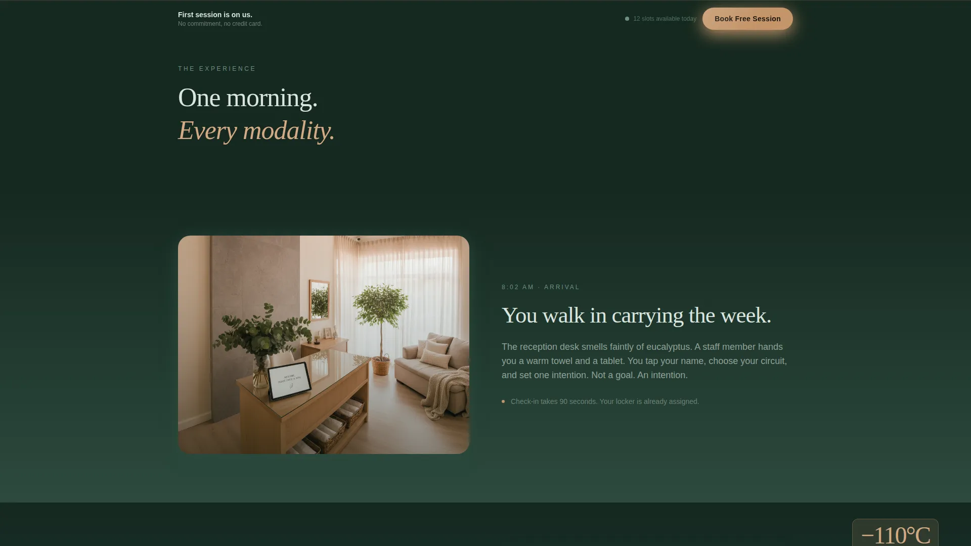 Cryotherapy & Recovery Studio Landing Page Template
