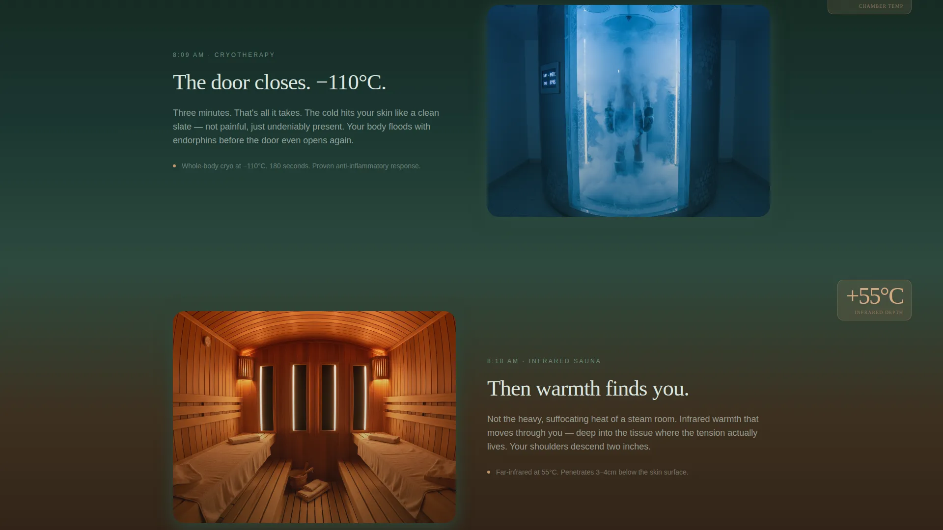 Cryotherapy & Recovery Studio Landing Page Template