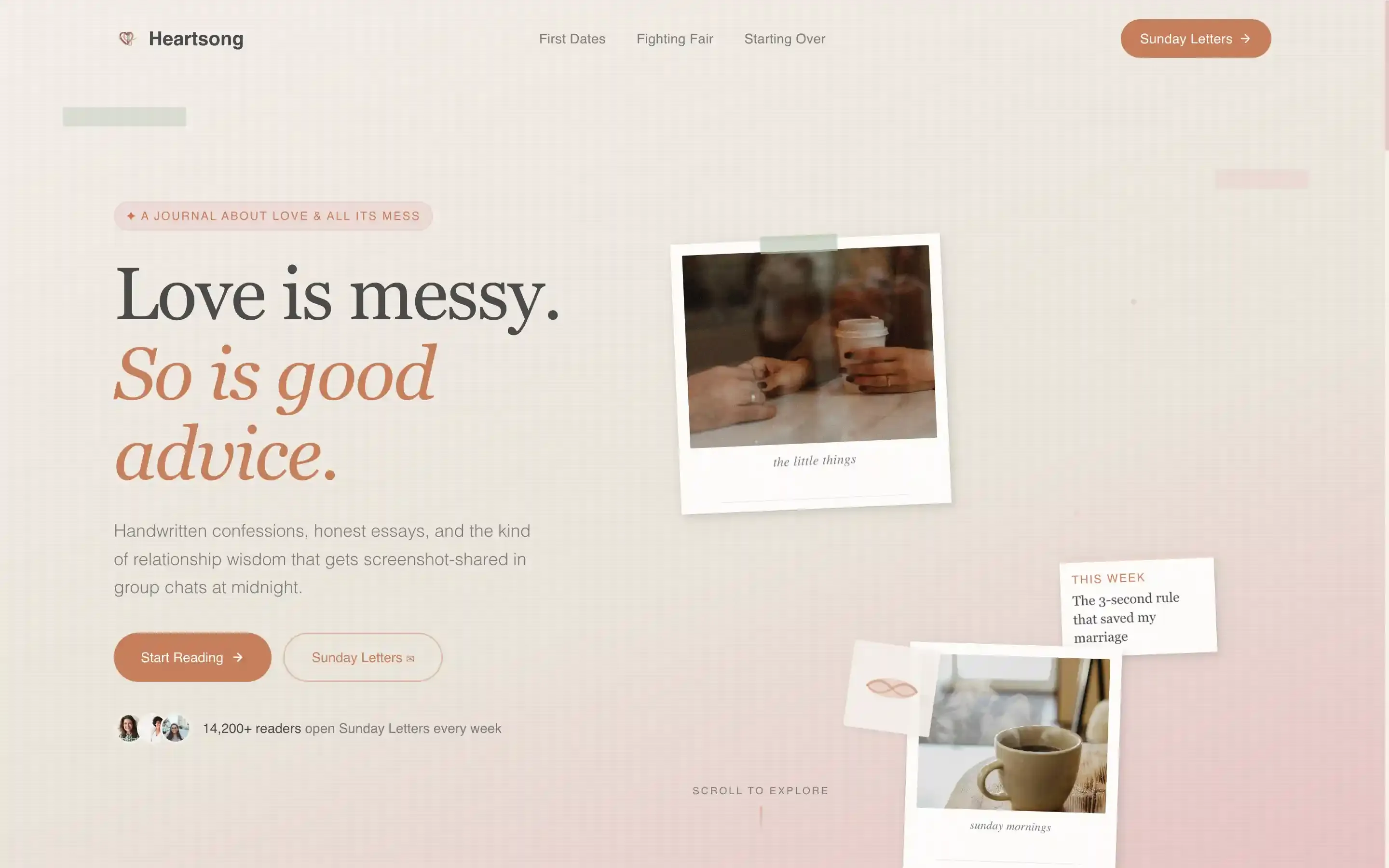 Premium & Landing Page Template