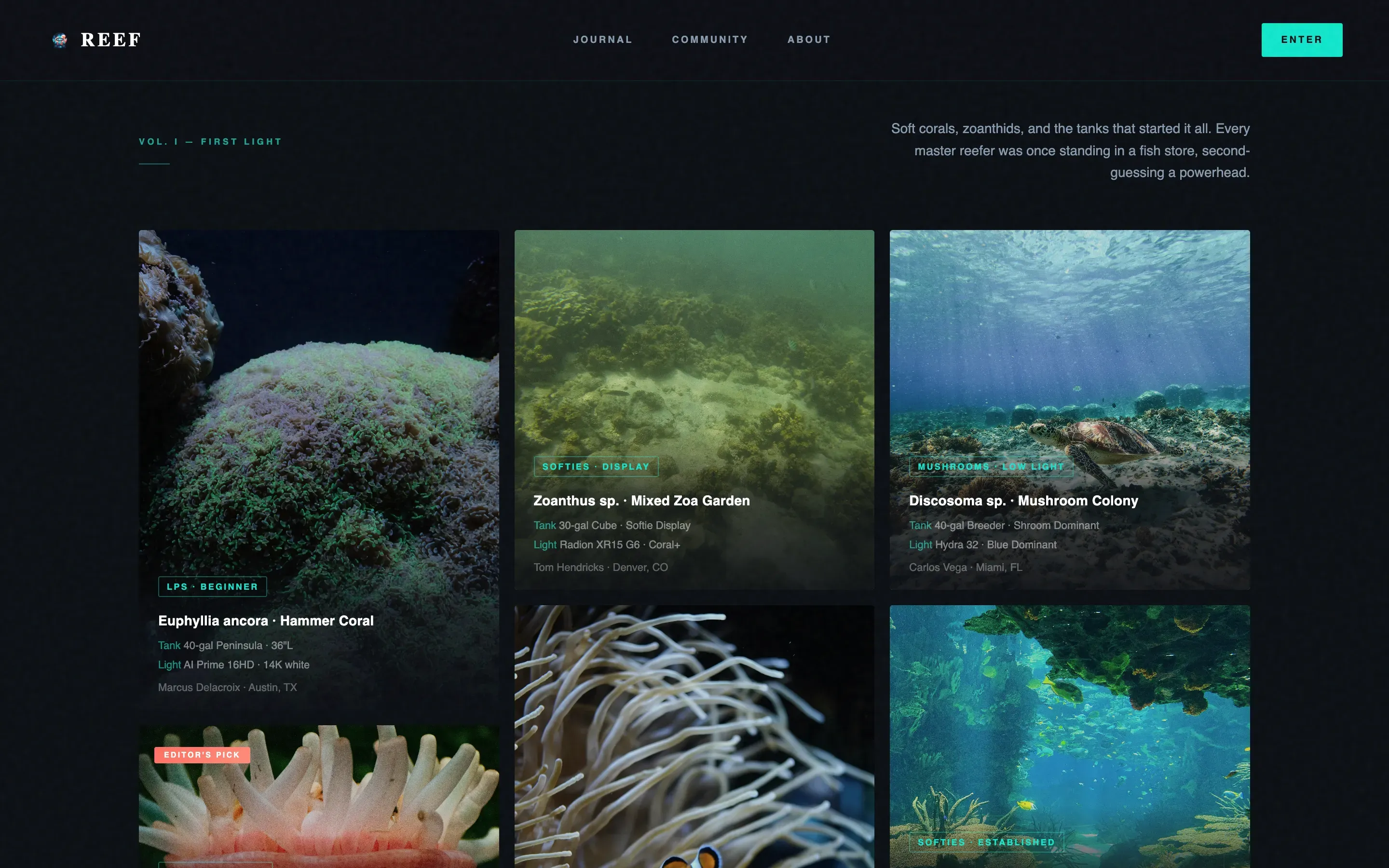 Cinematic Dark Masonry Landing Page for Reef Blogs