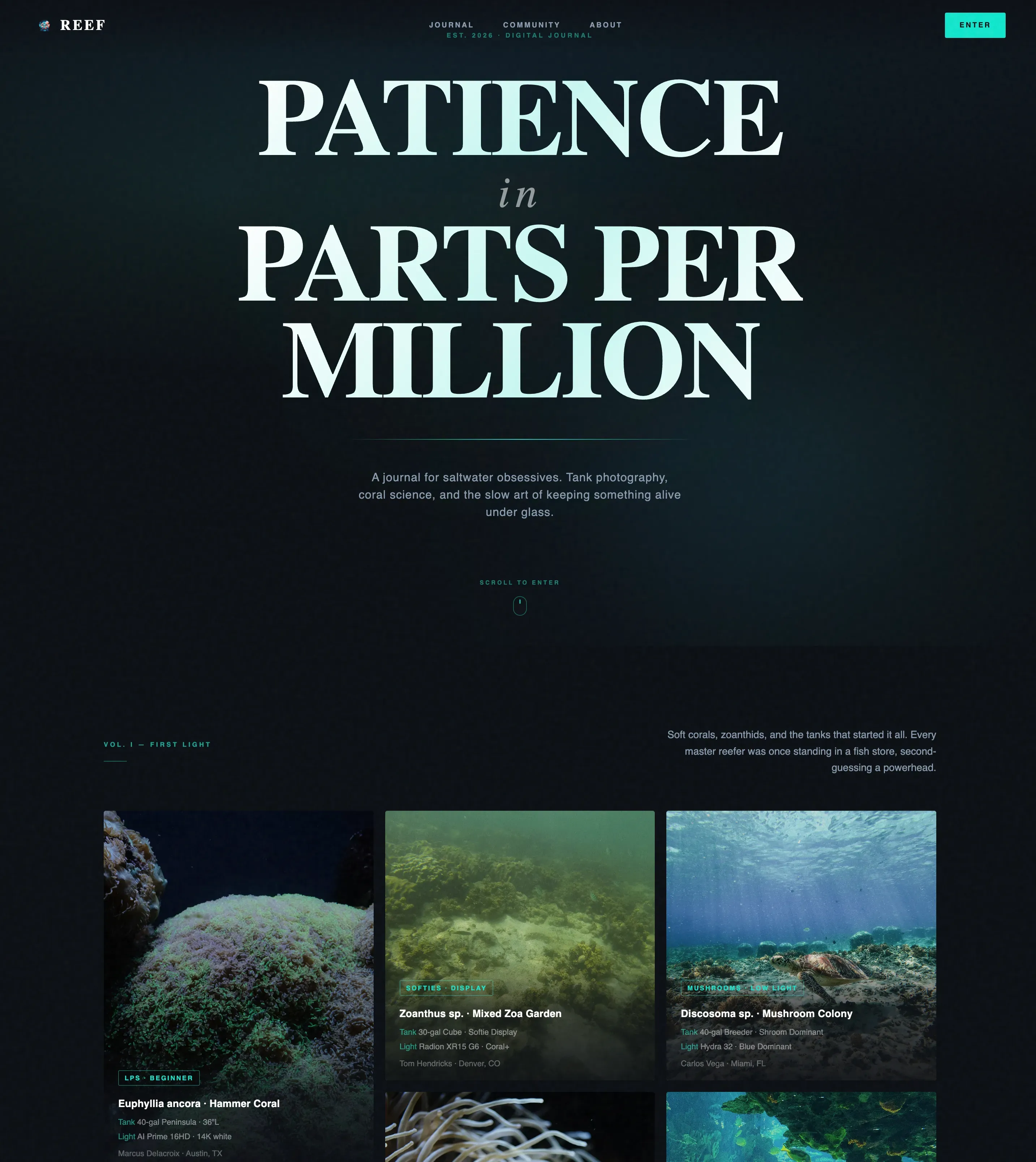 Cinematic Dark Masonry Landing Page for Reef Blogs
