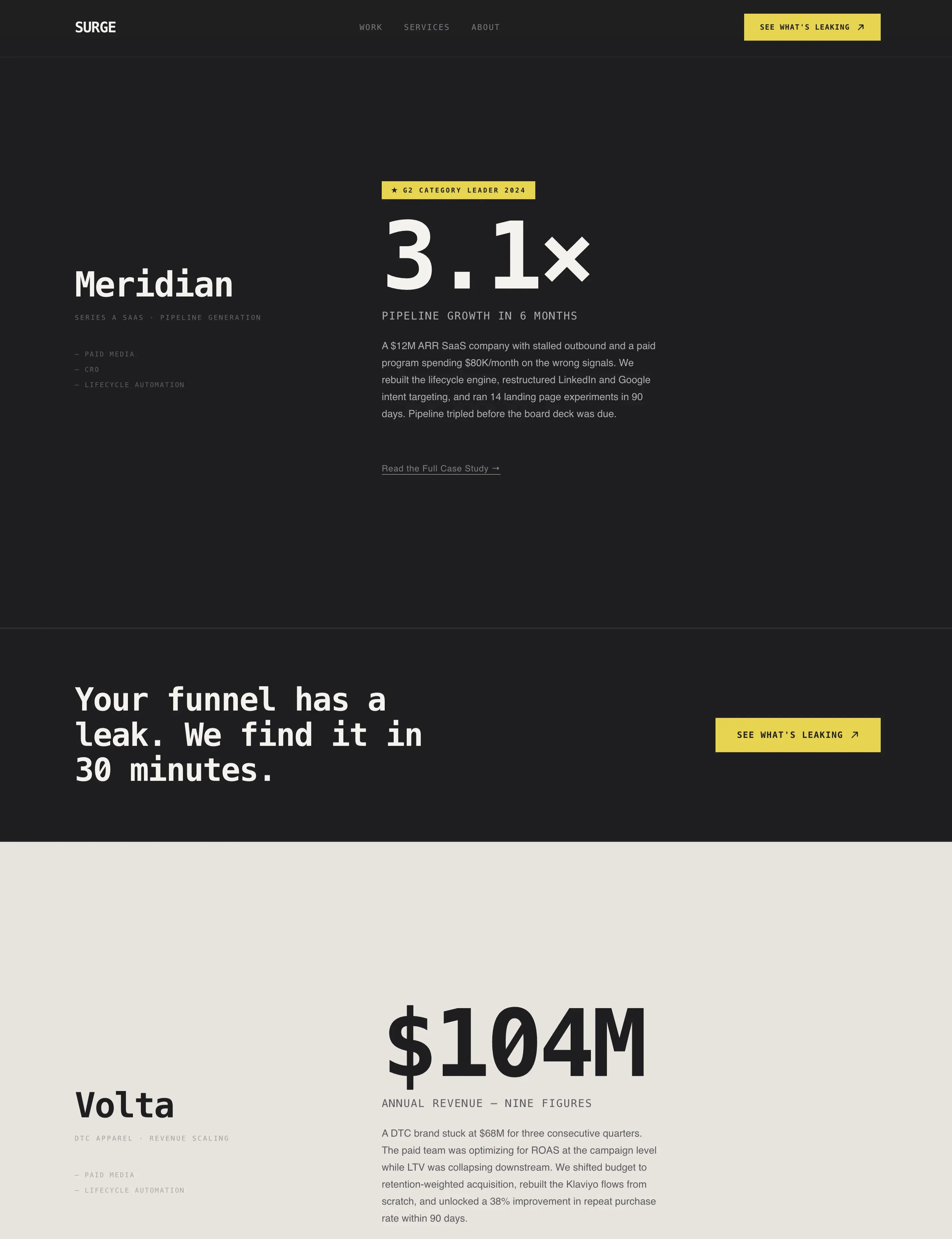 Growth & Performance Agency Metric-First Website Template