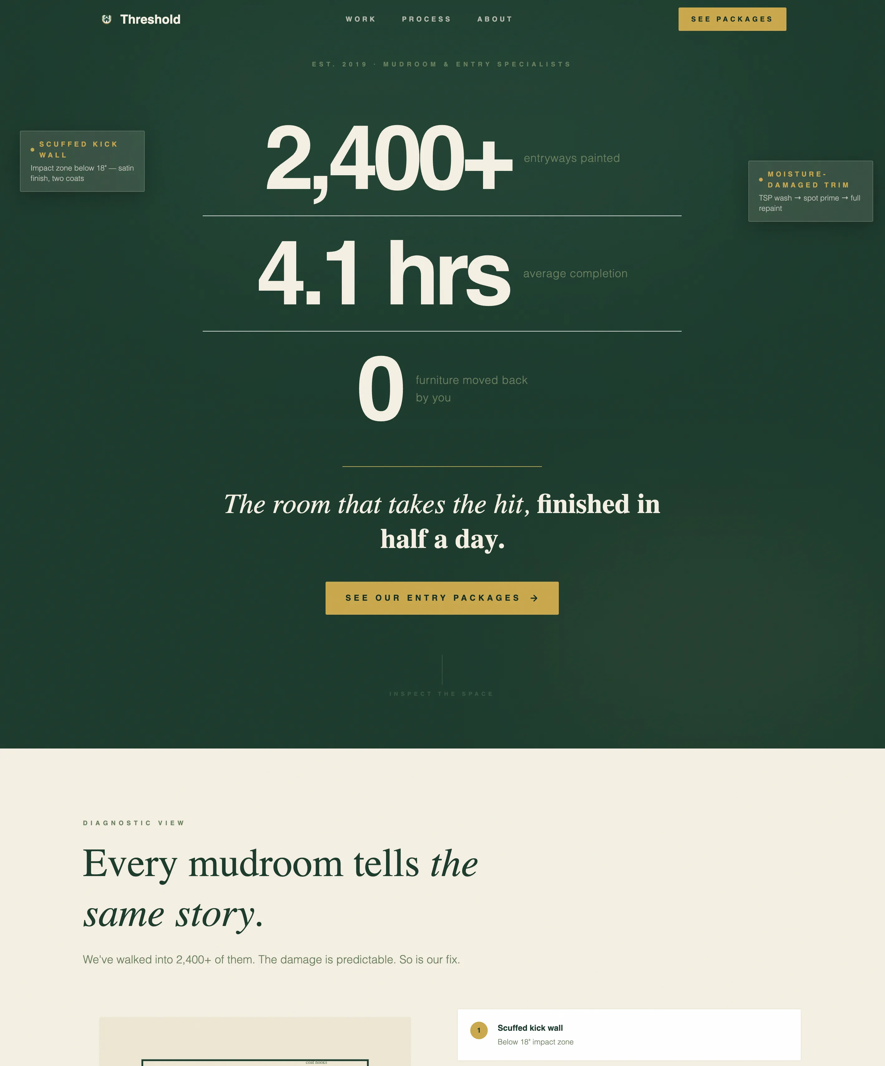 Basement Cleaning Specialist Landing Page Template