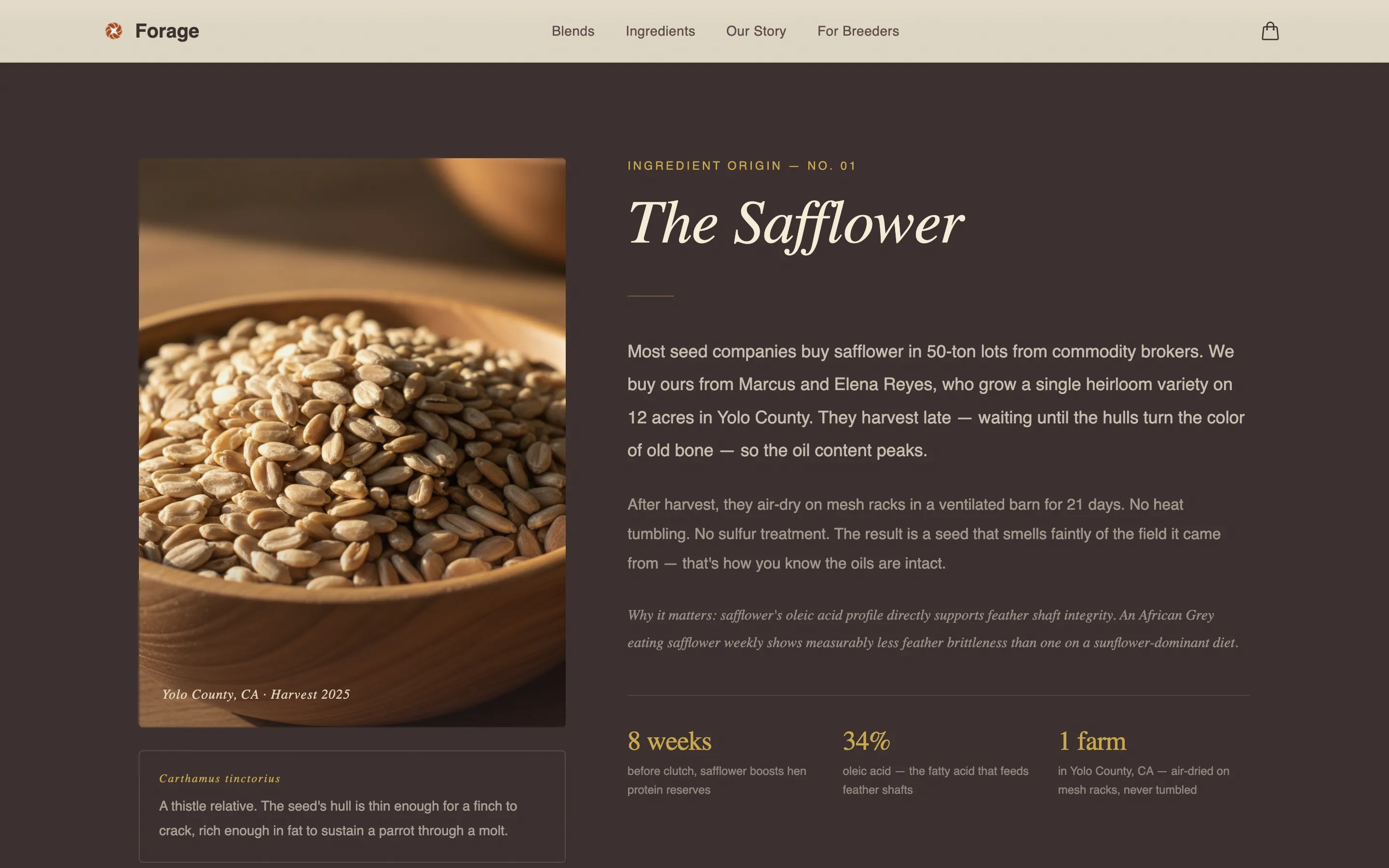 Artisan Bird Food Landing Page Template