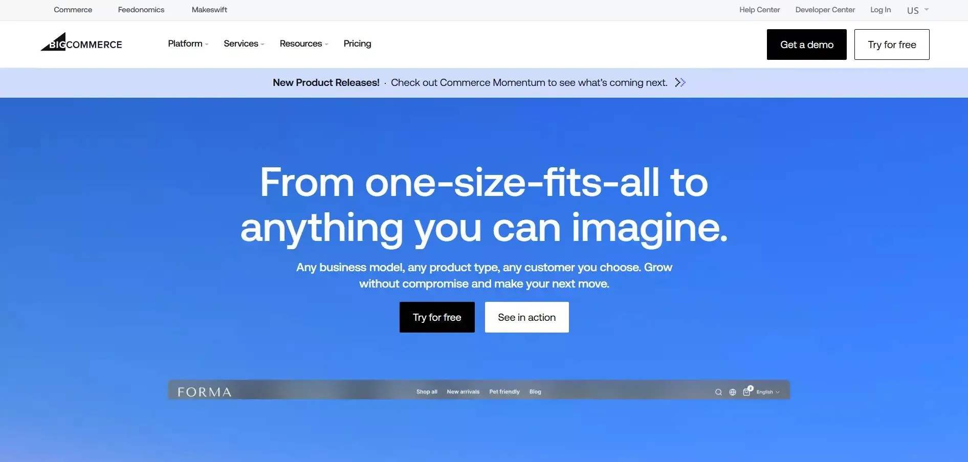 BigCommerce for scaling online store