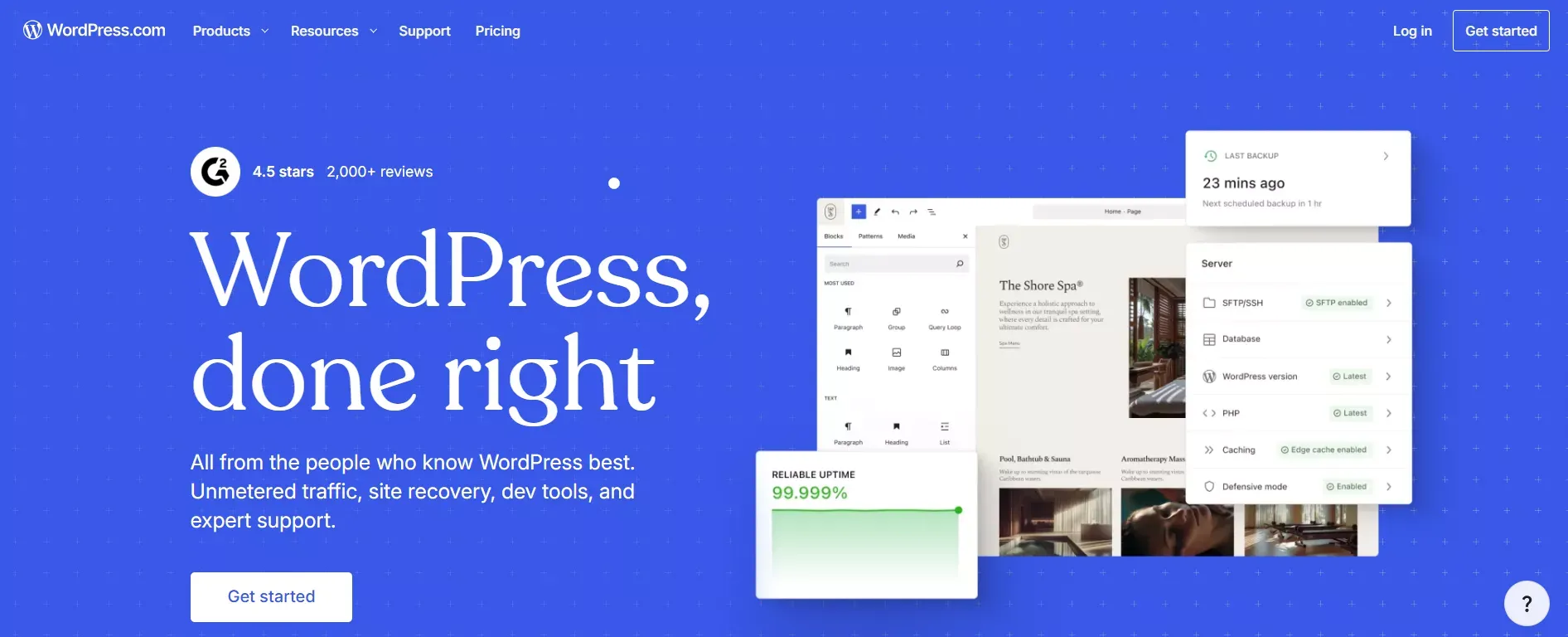 WordPress Website